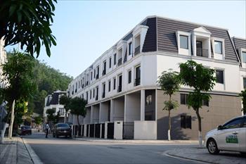 Cách xây dựng văn hoá làm việc chung trong một môi trường bất động sản