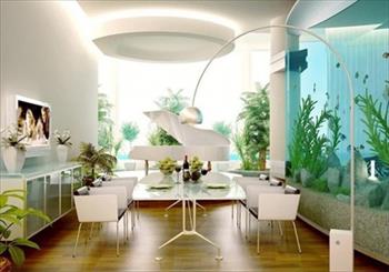 Mẫu bể cá cảnh đẹp và lưu ý khi đặt trong nhà theo phong thuỷ