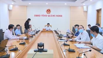 UBND tỉnh cho ý kiến chủ trương nghiên cứu quy hoạch một số dự án