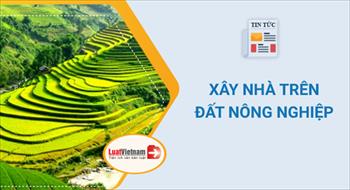 Xây nhà trên đất nông nghiệp bắt buộc phải tháo dỡ?