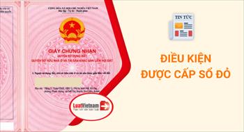 Tổng hợp điều kiện cấp Sổ đỏ cho đất có giấy tờ và không có giấy tờ 2020