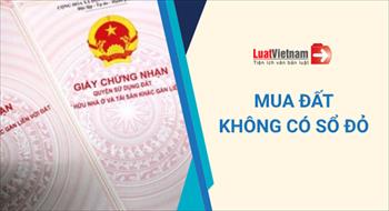 Mua đất không có Sổ đỏ trước 7/2014 thì được cấp sổ mới?