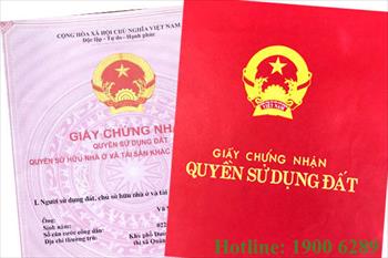 Đứng tên giùm trên sổ đỏ: Coi chừng lãnh đủ thiệt hại và rủi ro pháp lý
