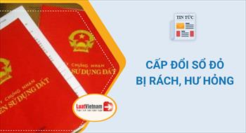 Cách xử lý khi Sổ đỏ bị ố, nhòe, rách, hư hỏng