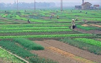 Người dân phải nộp bao nhiêu tiền khi chuyển từ đất nông nghiệp sang đất ở?