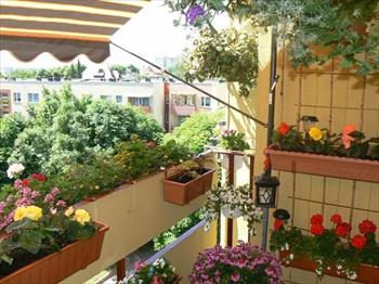 Bồn hoa ở ban công có tính vào diện tích sàn xây dựng?