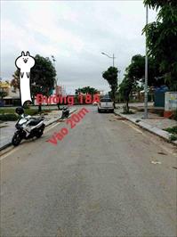 Những loài ‘hung mộc’ không nên trồng quanh nhà