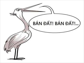 Chính chủ Bán Ô Đất Trục Chính EC Hùng Thắng, Hạ Long