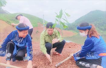 Hỗ trợ sinh kế, nâng cao đời sống của đồng bào dân tộc thiểu số