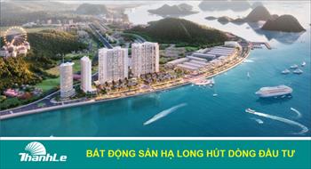 Bất động sản Hạ Long hút dòng đầu tư