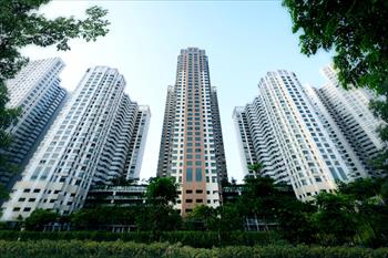 Chung cư “xanh” vẫn luôn hút người mua