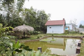 Điều kiện cấp sổ đỏ và chuyển mục đích sử dụng đất ao