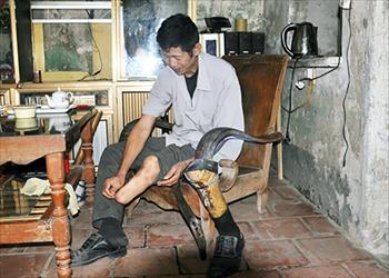 Ước mơ của anh Duyên