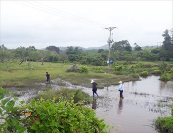Móng Cái: Tập trung GPMB một số dự án động lực