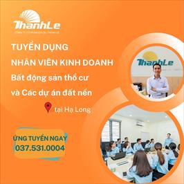 NHÂN VIÊN KINH DOANH BĐS THỔ CƯ TẠI HẠ LONG