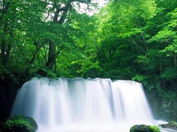 Treo tranh ảnh trong nhà tùy theo ý nguyện của gia chủ